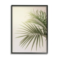 Stupell Industries Minimal Pigevels napfényes trópusi ház növényfotó Fekete keretes művészeti nyomtatott fali művészet,