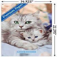 Keith Kimberlin-Mama és cica fali poszter Push csapok, 14.725 22.375