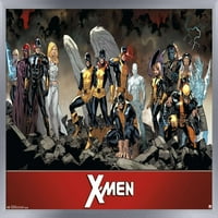 Marvel Comics-Az X-Men-Csapat Fal Poszter, 14.725 22.375
