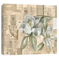 Képek, Academic Magnolia illusztráció, 20x16, dekoratív vászon fali művészet