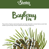 Bayberry fenyő Tealight gyertyák-Zöld prémium illatos Teafények-természetes olajok-Shortie ' s Candle Company