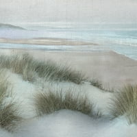 Képzőművészeti vászon Windswept III Coast, Mike Calascibetta Canvas Art Print