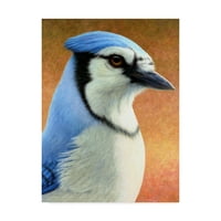 James W. Johnson, a Blue Jay Orange 'vászon művészete