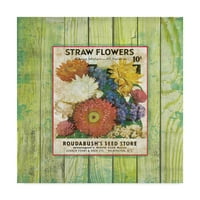 Védjegy képzőművészet 'Straw Flowers On Wood 3' vászon művészet Jean Plout