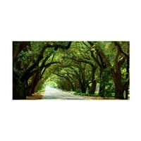 James McLoughlin 'Canopy Road Panorama I' Canvas Art