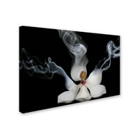 Védjegy Képzőművészet 'Magnolia' Dohányzás vászonművészete: Lori Hutchison