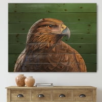 Designart „A Harris Hawk Bird közelképe” hagyományos nyomtatás természetes fenyőfara