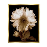 Stupell modern szépia anya virág botanikai és virágos fotózás arany úszó keretes művészeti nyomtatási fal művészet