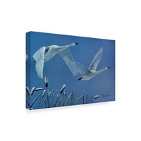 A Rusty Frentner „Swans” vászon művészete védjegye