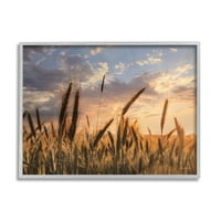 Stupell Industries vidéki búzamezőfarmos Farmy Cloudy Sunset Sky, 24, Lori Deiter tervezése