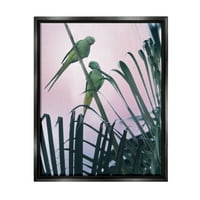 Stupell Industries trópusi papagájok rózsaszín égi állatok és rovarok fotózás fekete úszó keretes művészeti nyomtatási