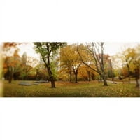 Fák egy parkban Central Park Manhattan New York City New York állam USA Poszter Nyomtatás by - 12
