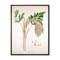 Designart 'Ancient Plant Life XV' parasztház keretezett vászon Wall Art nyomtatás