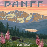 Banff, Kanada, medve, és, tavaszi virág