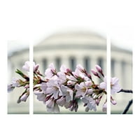 Védjegy Szépművészet 'Jefferson Memorial Blossoms' Multi Panel Canvas művészete, amelyet a Cateyes készített