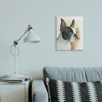 Stupell Industries Boston Terrier kisállat kutya portré fekete barna vászon fali művészet, 20, George Dyachenko tervezése