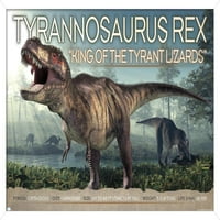 Dinoszauruszok-T-Re Fali Poszter